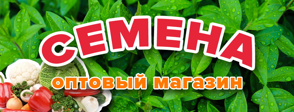Семена оптом и в розницу