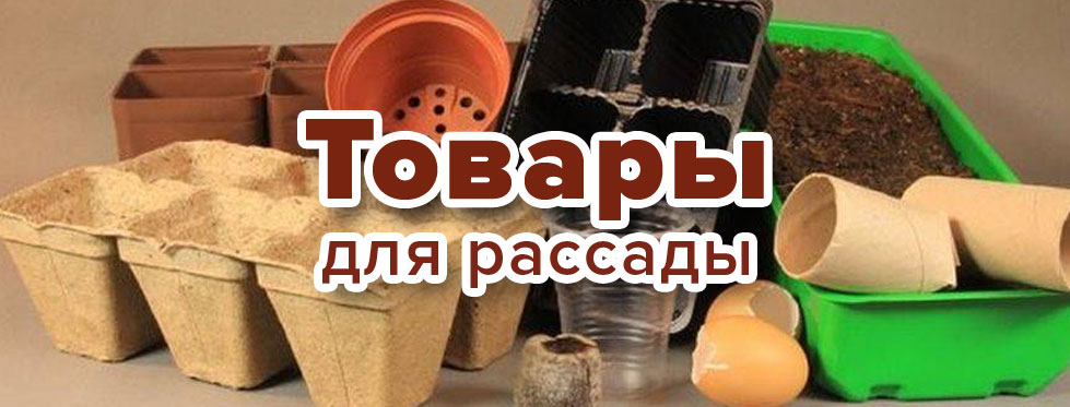 Товары для рассады